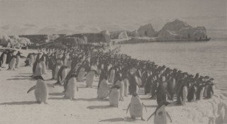 I. — EXPÉDITION PRÉPARATOIRE (5/12)