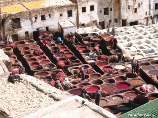 Les tanneries de Fès