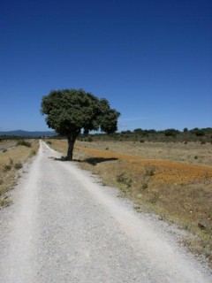 Long est le chemin...