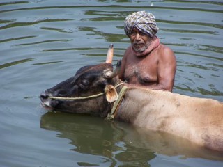 Madurai