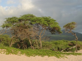 Makena State Park Makena State Park