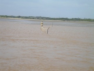 Malindi