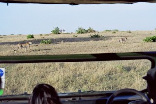 Masai Mara
