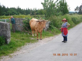 Matériel agricole ...