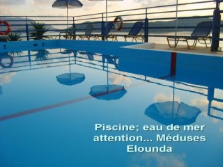 Meduses à Elounda