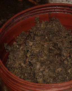 Moût de raisin - Gros plan