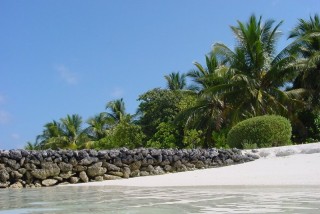 Mur de Corail