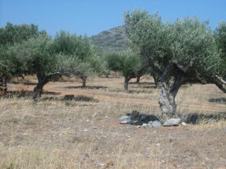 PRESQU ILE DE SPINALONGA