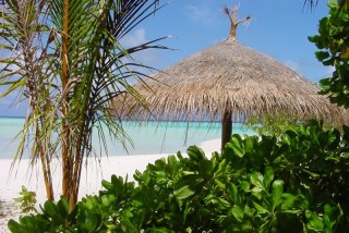 Parasol en branches de palmiers, île du soleil...