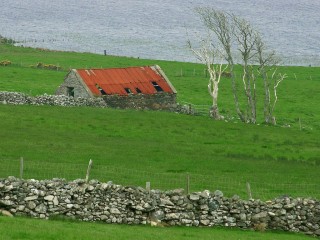 Pâturages irlandais près de Cleggan