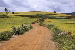 Paysage de l'Aragon