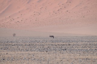 Paysage désertique