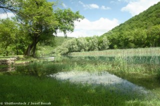 Paysage marécageux à Krka