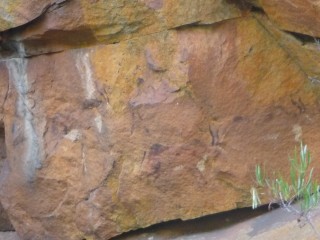 Peintures rupestres (2/3)