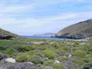 Plage Agii-Saranda