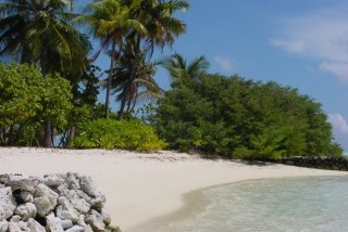 Plage de l'île du soleil levant (Sud-Ouest)