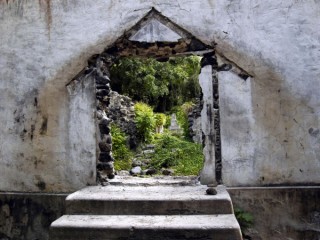 Porte vers la forêt Porte vers la forêt