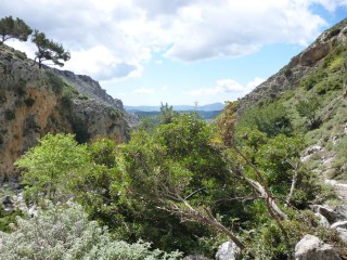 Promenade vers les gorges