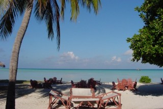 Rihiveli bar