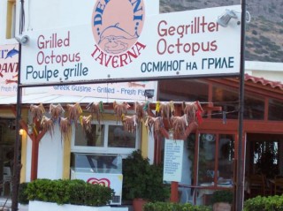 Séchage des poulpes Séchage des poulpes