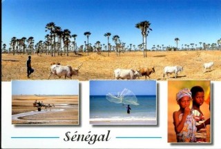 Sénégal