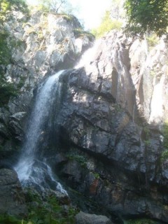 Sofia, Vitosha