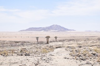 Sous le soleil écrasant