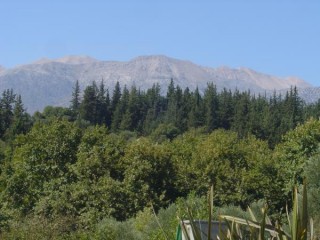 Sur la route de Chania