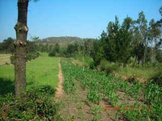 Sur le Camino de Fisterra
