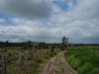 Sur les chemins