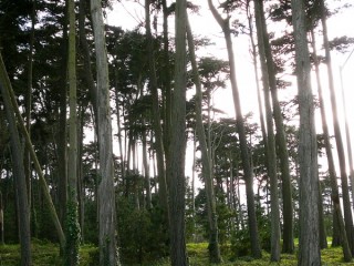 The Presidio National Park