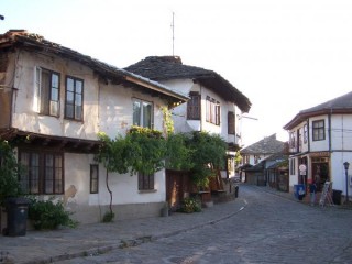 Triavna