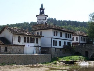 Triavna