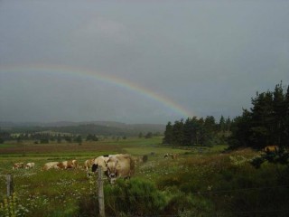 Un arc-en-ciel