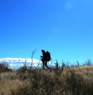 VIA DE LA PLATA Un chemin ensoleillé