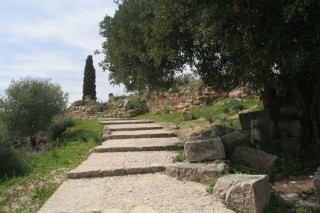 Un passage ombragé