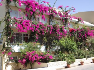 Un petit hotel a Scaleta