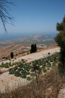 Vue sur l'Akrotiri
