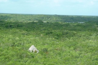Vue sur la Iglésia du haut de Nohoch Mul (1/2)