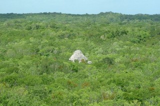 Vue sur la Iglésia du haut de Nohoch Mul (2/2)