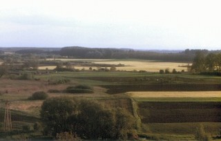 Vue sur la Puszta, la plaine