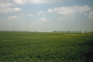 Vue sur la plaine