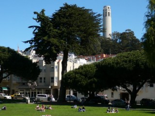 Washington square