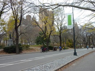  Central Park