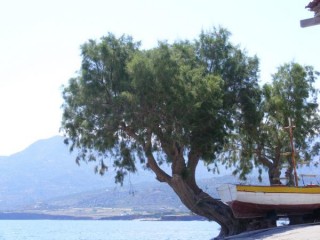    Moklos