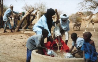 Abreuvement du bétail