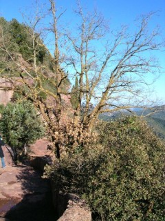 Vue du village de Prades (Catalogne)