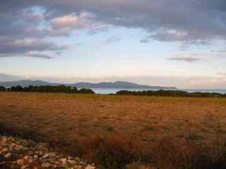 Vue du plateau qui abritait une partie de la cité...