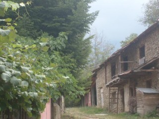 Celle-ci ?