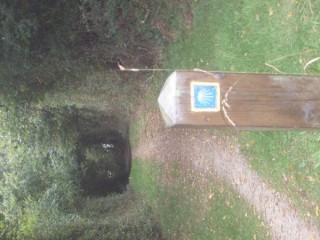 Chemin de Vendée